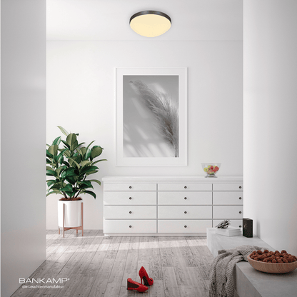 Anthrazit matt eloxiert, Bankamp-basic-deckenleuchte_Anthrazit matt eloxiert.jpg