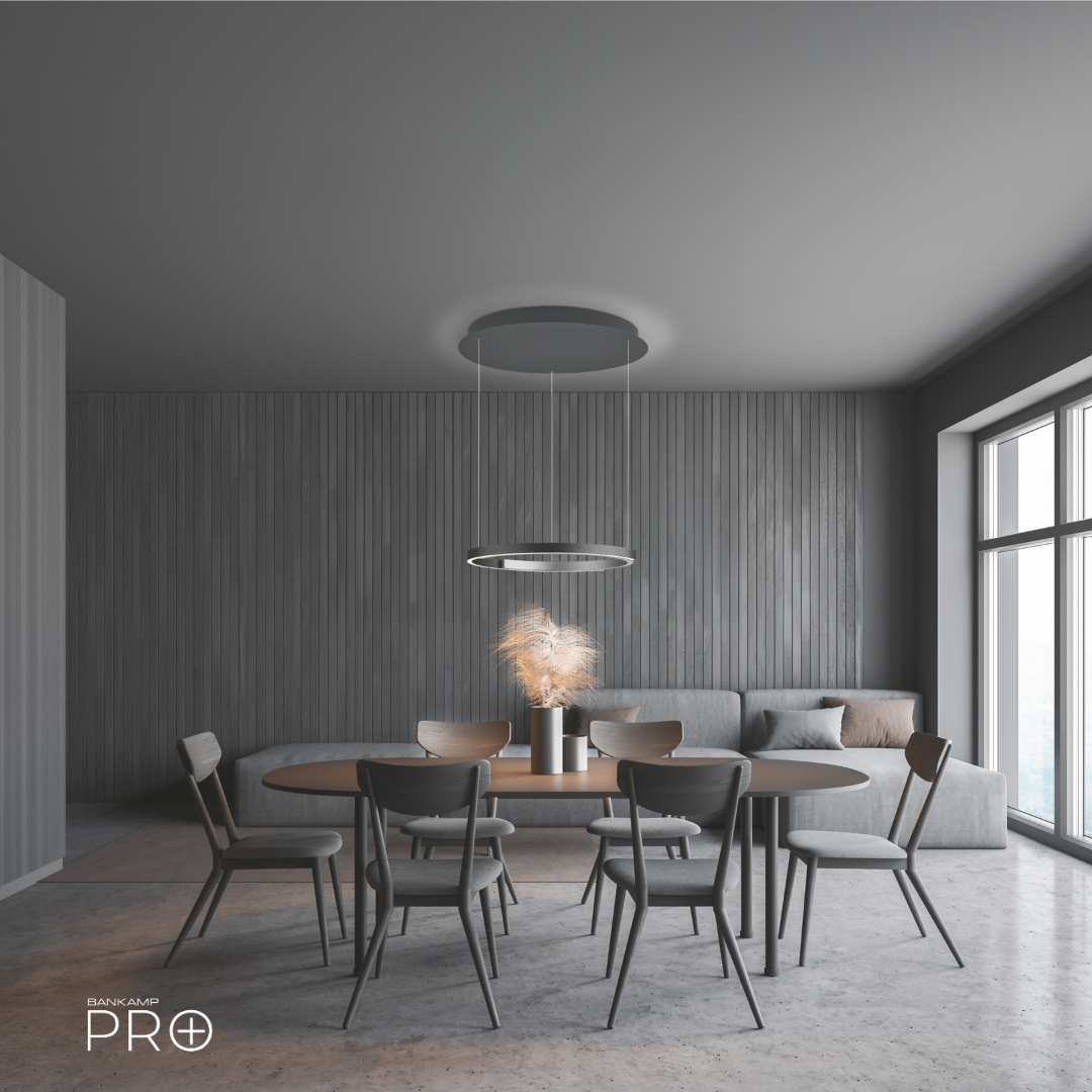 Anthrazit eloxiert_Alu matt, Fachhandel-ring-pendelleuchte_Anthrazit eloxiert_Alu matt.jpg