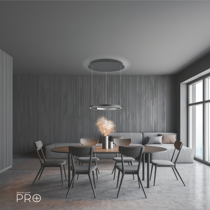 Anthrazit eloxiert_Alu matt, Fachhandel-ring-pendelleuchte_Anthrazit eloxiert_Alu matt.jpg